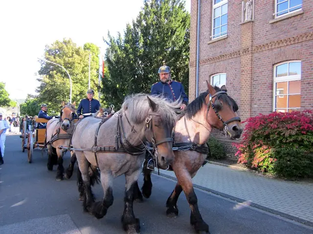 Schützenfest Sonntag 2015 – Vorschau 21