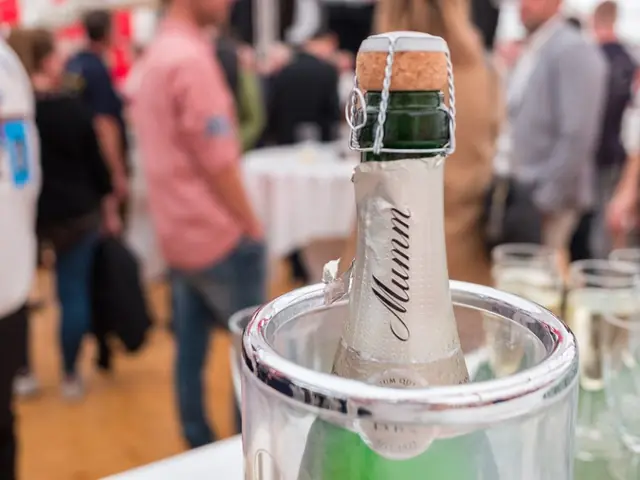 Schützenfest Montag 2017 – Vorschau 17