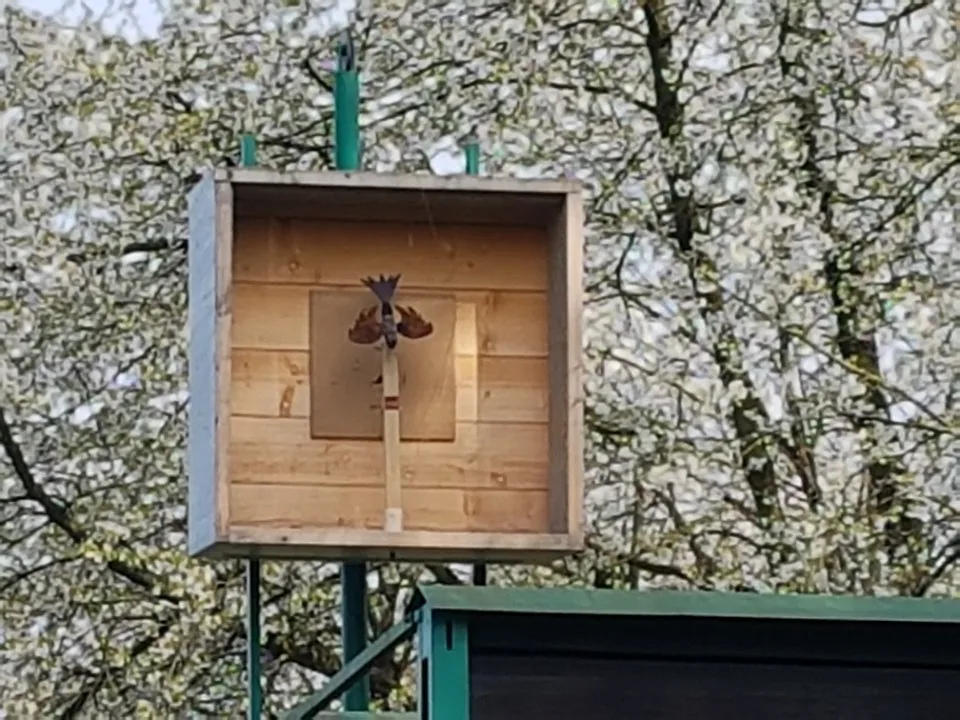 Jägercorpskönigschießen 2018 – Foto 28