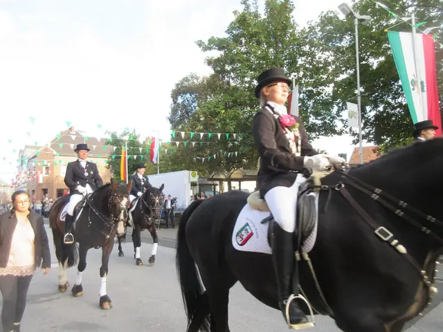 Schützenfest Dienstag 2018 – Vorschau 228