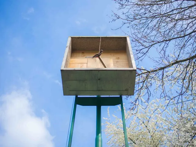 Jägercorpskönigschießen 2019 – Vorschau 57