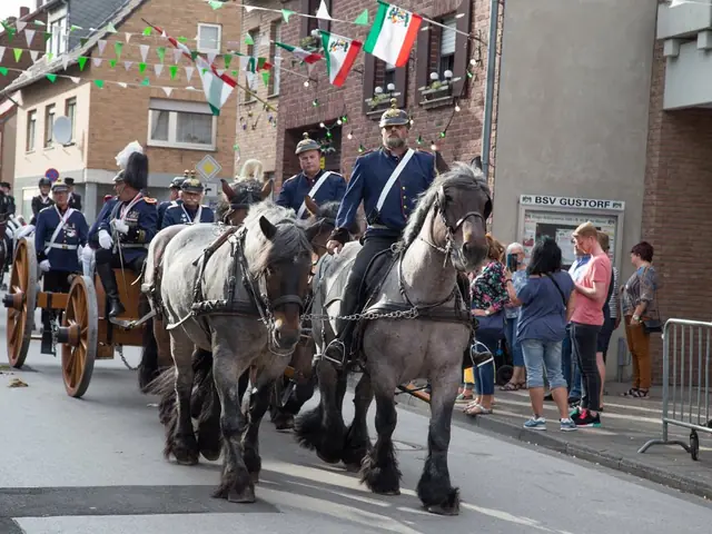 Schützenfest Sonntag 2019 – Vorschau 268