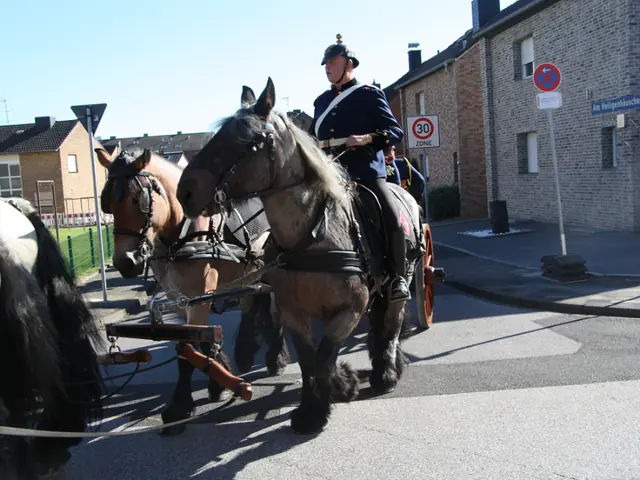 Schützenfest 2023 – Vorschau 170