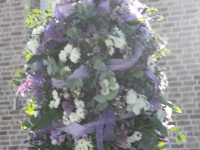 Schützenfest 2023 – Vorschau 278