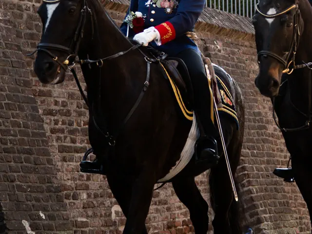 Schützenfest 2025 – Fotos Aline Becker – Vorschau 14