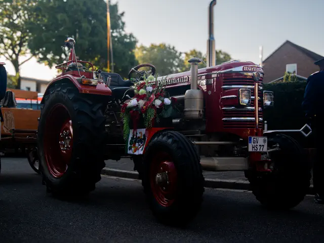 Schützenfest 2025 – Fotos Aline Becker – Vorschau 74