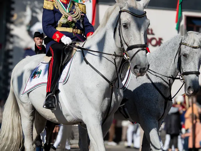 Schützenfest 2025 – Fotos Aline Becker – Vorschau 261