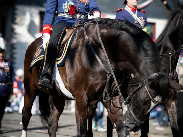 Schützenfest 2025 – Fotos Aline Becker – Vorschau 262