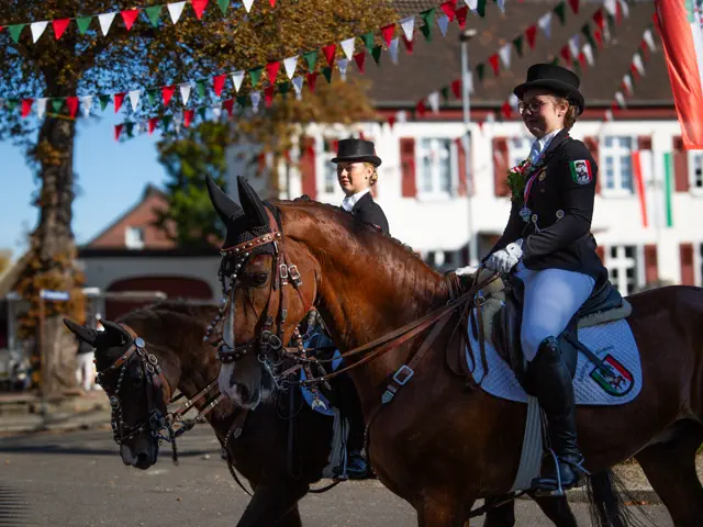 Schützenfest 2025 – Fotos Aline Becker – Vorschau 393