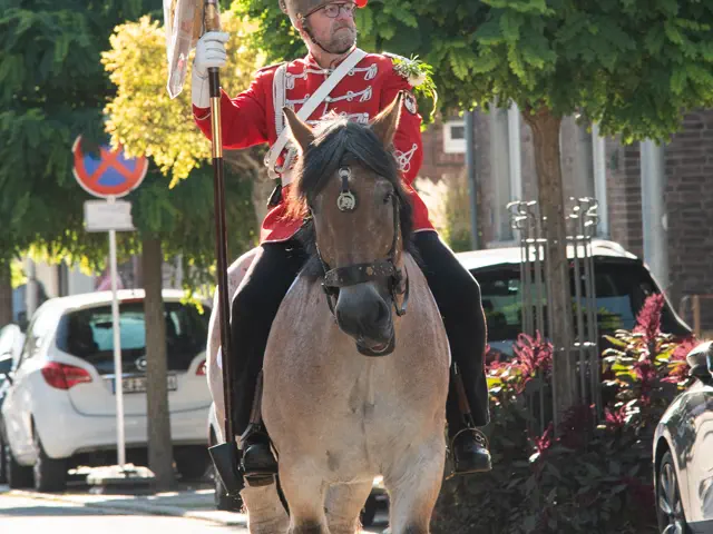 Schützenfest 2025 – Fotos Aline Becker – Vorschau 731