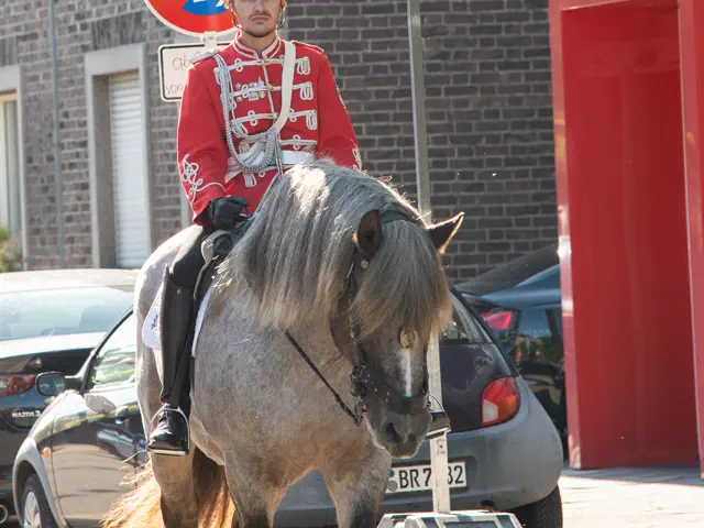 Schützenfest 2025 – Fotos Aline Becker – Vorschau 732