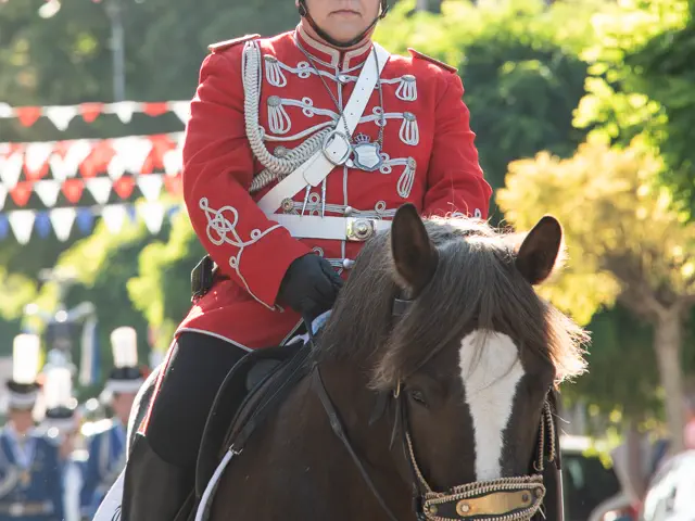 Schützenfest 2025 – Fotos Aline Becker – Vorschau 733