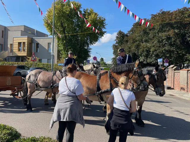 Umzüge & Festsplitter 2025 – Vorschau 50